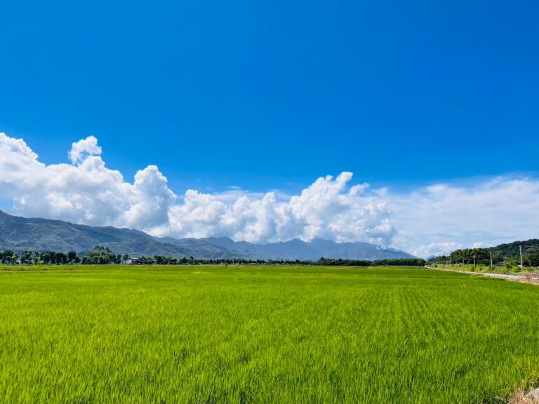 邁向山邊的那一條路